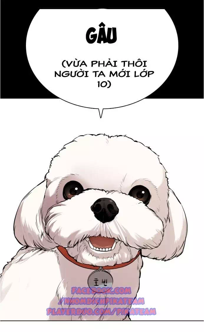 Chapter 13 - Image 20