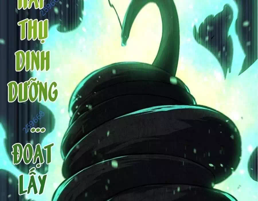 Chapter 282 - Image 8