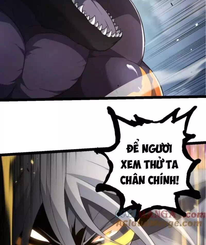 Chapter 335 - Image 1